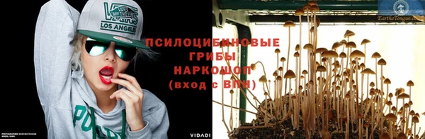 стафф Балабаново