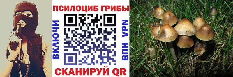 Галлюциногенные грибы MAGIC MUSHROOMS  MEGA зеркало  Бахчисарай 